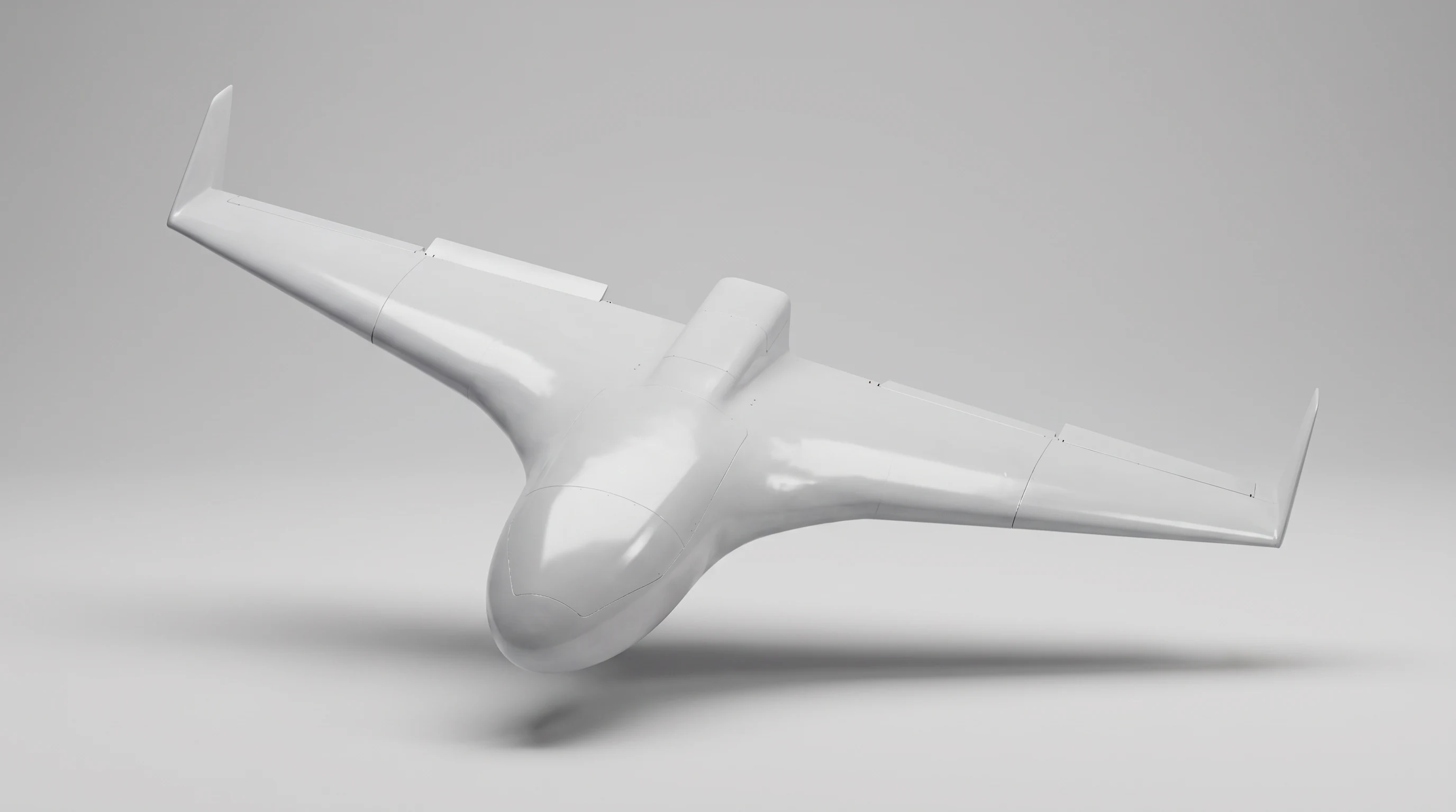 Delta Wing Loitering Munition (D-248)